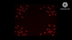 Спокойной ночи малыши in G Major 3