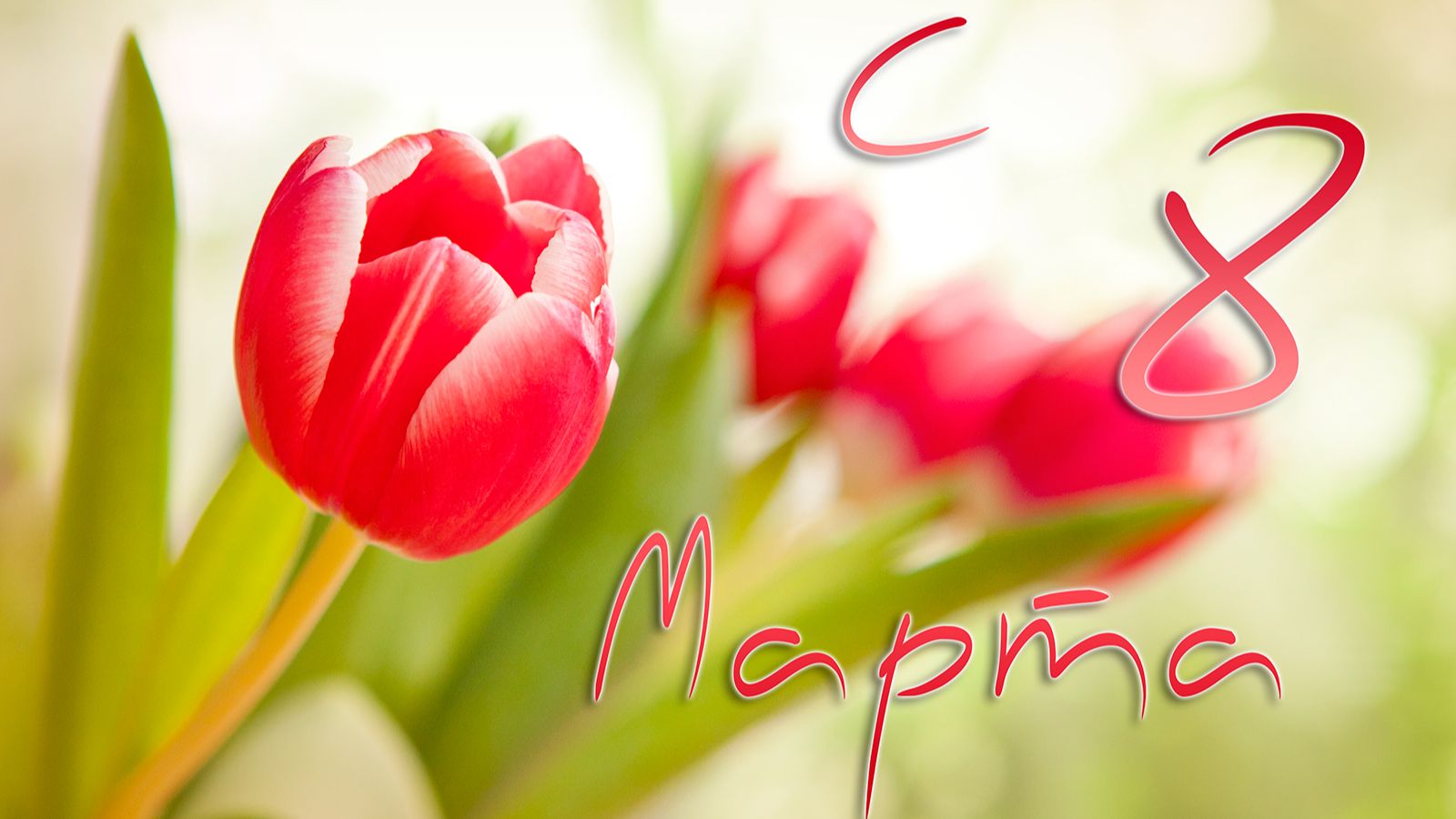 ЗОЛОТЫЕ ПОЛЯНЫ ЛЮБВИ - ЕВГЕНИЙ КОТЦОВ