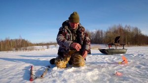 Весна продолжается! (2)