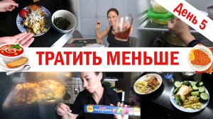 Меньше тратить. Курица с картошкой в духовке. Сколько денег выдает муж