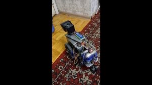 поиск кошки