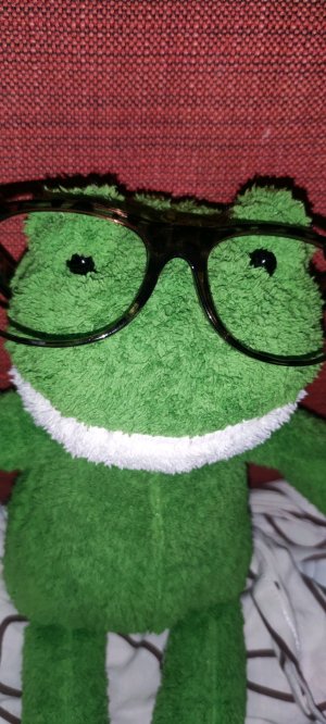 лягушки уход влог вечер