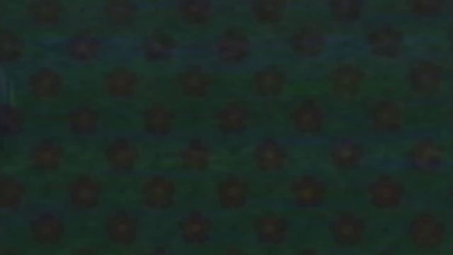 Барбоскины 0 сезон 2 серия