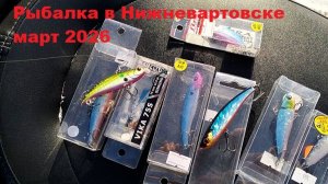 Рыбалка в Нижневартовске март 2026