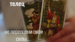 Телец : Весеннее Равноденствие 2026 года