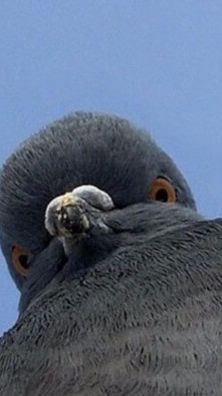 КУШАЙ, Я ПОДЕЛЮСЬ.....!😆