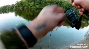 Рыбалка на Десне  2021