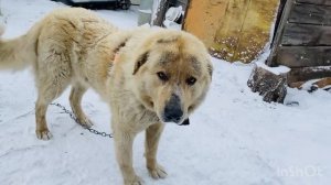 Родительский дом надо сохранять