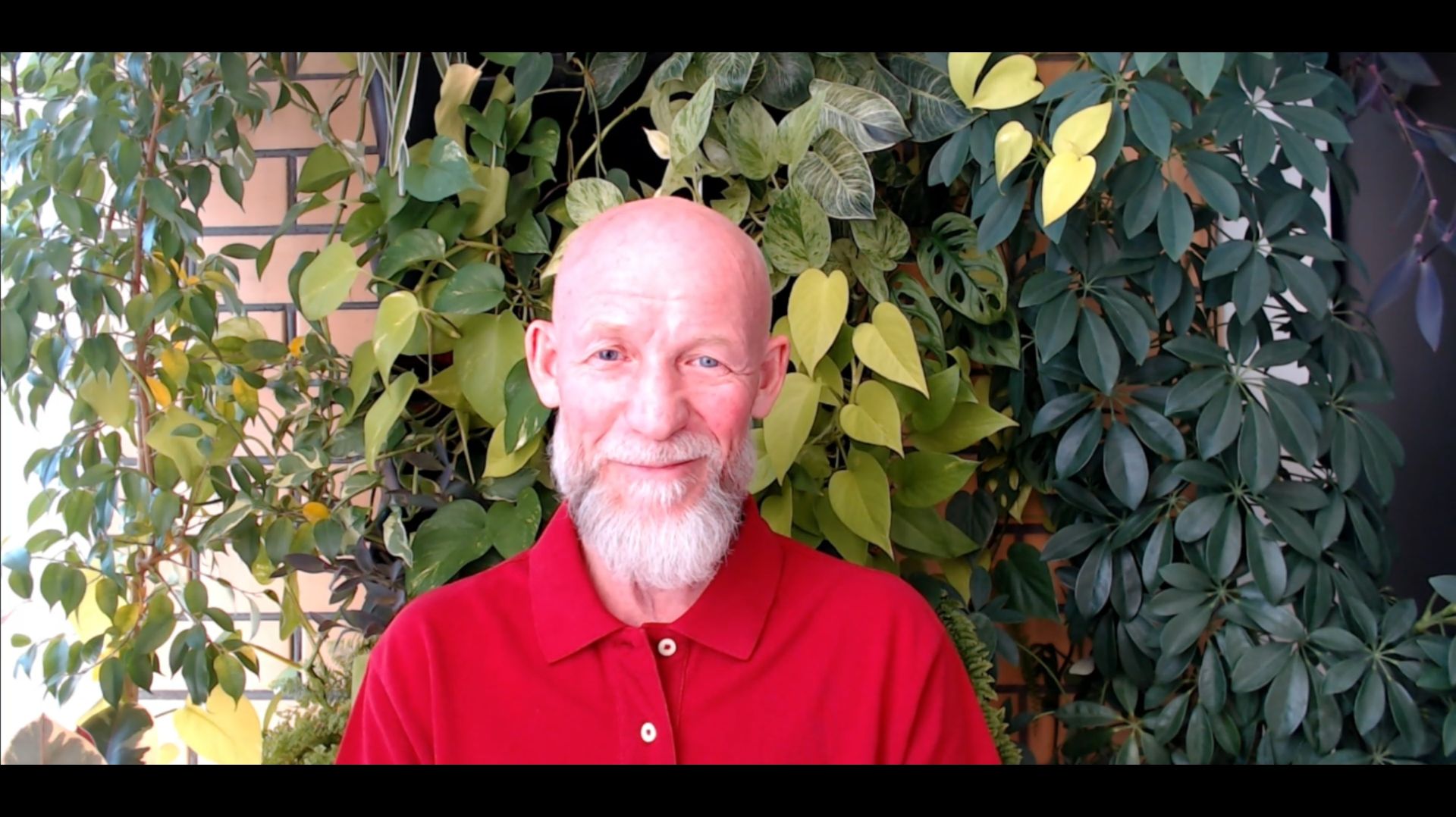 Беседа с Евгением Багаевым 08.03.26. Об очищении видения и восприятия.