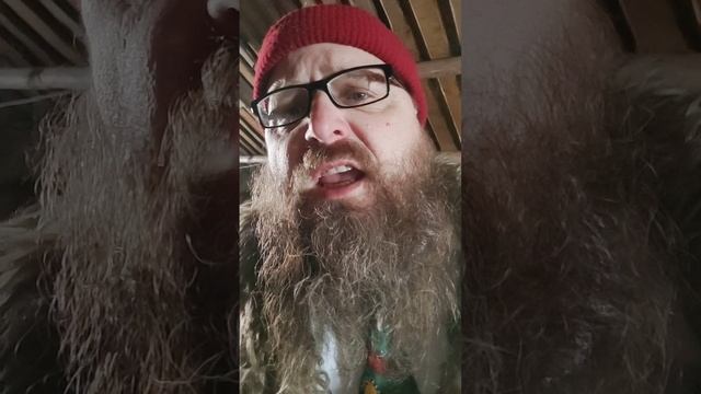 Письмо. Лев Грехов. 08.03.2026. Спасское.mp4