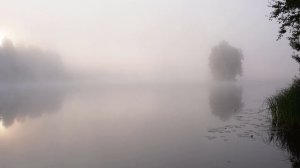 А ТУМАНЫ ЗДЕСЬ ТИХИЕ.