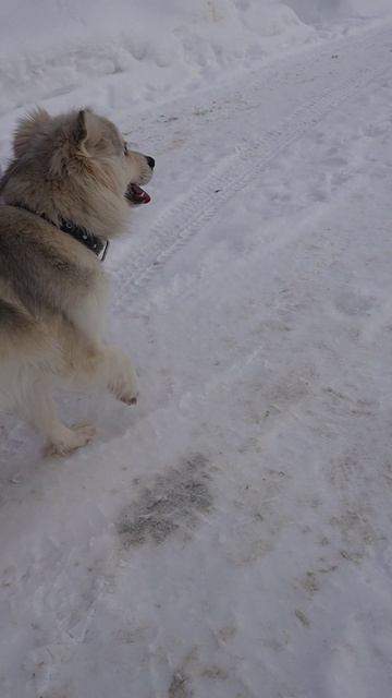 Сиротка на пути к выздоровлению!