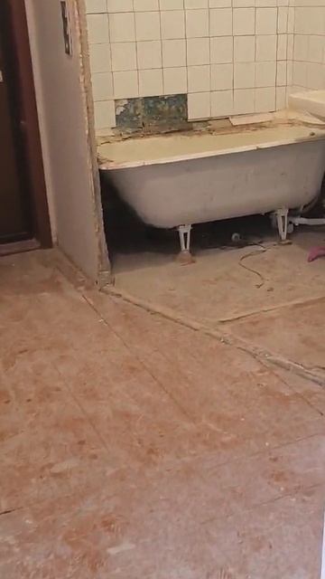 Комсомольская 29