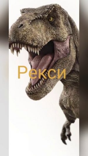 Бак vs Рекси