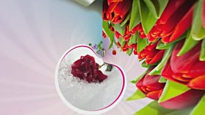 Поздравление С 8 Марта 5 от Киностудии Мудрого Кота Тимофея!