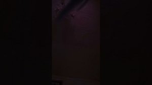 смотрим куплинова