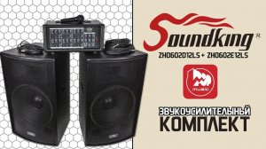SOUNDKING ZH0602D12LS + SOUNDKING ZH0602E12LS