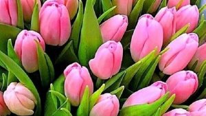 С  праздником 8 Марта! Душистой веточкой сирени весна приходит в каждый дом.