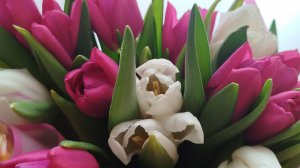 🌷 #11 ПРАЗДНИЧНОЕ РАСПРЕДЕЛЕНИЕ ДЕНЕГ 🌷ЕЖЕНЕДЕЛЬНОЕ ПОПОЛНЕНИЕ КОПИЛКИ 🌷 РАСКЛАД ЛЕНОРМАН НА НЕДЕ