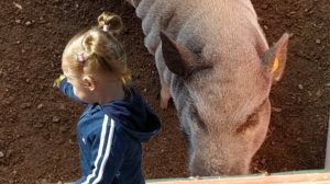 Ангелина кормит животных на эко ферме