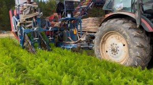 Работа морковоуборочного комбайна AsaLift T200DF с трактором Беларус 2022.3