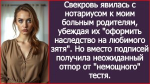 Свекровь явилась с нотариусом к моим больным родителям | ИСТОРИИ ИЗ ЖИЗНИ | АУДИО РАССКАЗЫ
