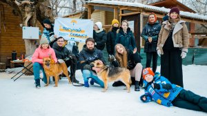 Прогулки в приютах вместе с «Погуляй собаку»