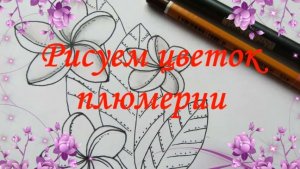 Как нарисовать тропический цветок.  Плюмерия рисунок ручкой. How to draw a tropical flower. Plumeria