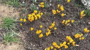 Поздравляю всех женщин с праздником!