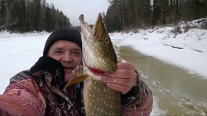 Жерлицы не успевал проверять. Щука активная как никогда. Рыбалка на льду.