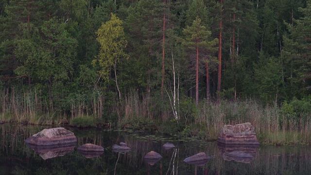 УТРО НА ОЗЕРЕ