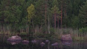 УТРО НА ОЗЕРЕ