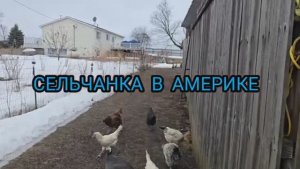 Сельчанка в Америке / НЕТУ ВРЕМЕНИ НА ОТДЫХ