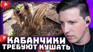 Кабанчики требуют кушать | РЕАКЦИЯ МАЗЕЛЛОВА