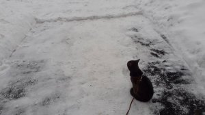 На улице хорошо, тепло.