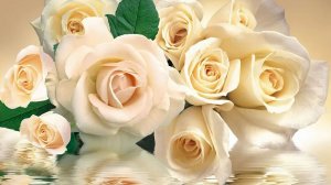 ДЕВЧОНКИ ВСЕХ ВАС С 8 МАРТА