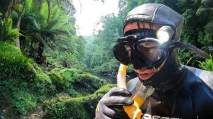 Нашёл золото, ныряя в дикой реке.