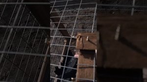 г Мариуполь жуки на продажу
8.03.2026год