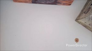 СП " Ликвидация 7. неделя 7