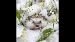 ПОЗДРАВЛЯЮ!