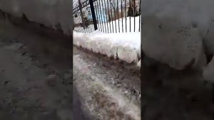 Фестивальный парк