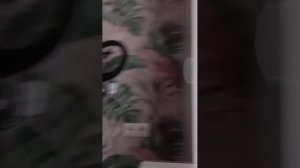 ИГРАЕМ И ОБЩАЕМСЯ!