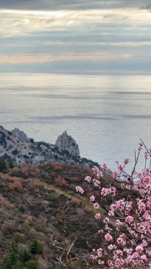 Крым сегодня. Поздравляю вас с праздником 8 марта #крым #8марта #крымсегодня