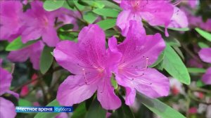 Вести-Томск, выпуск от 07.03.2026 08:00