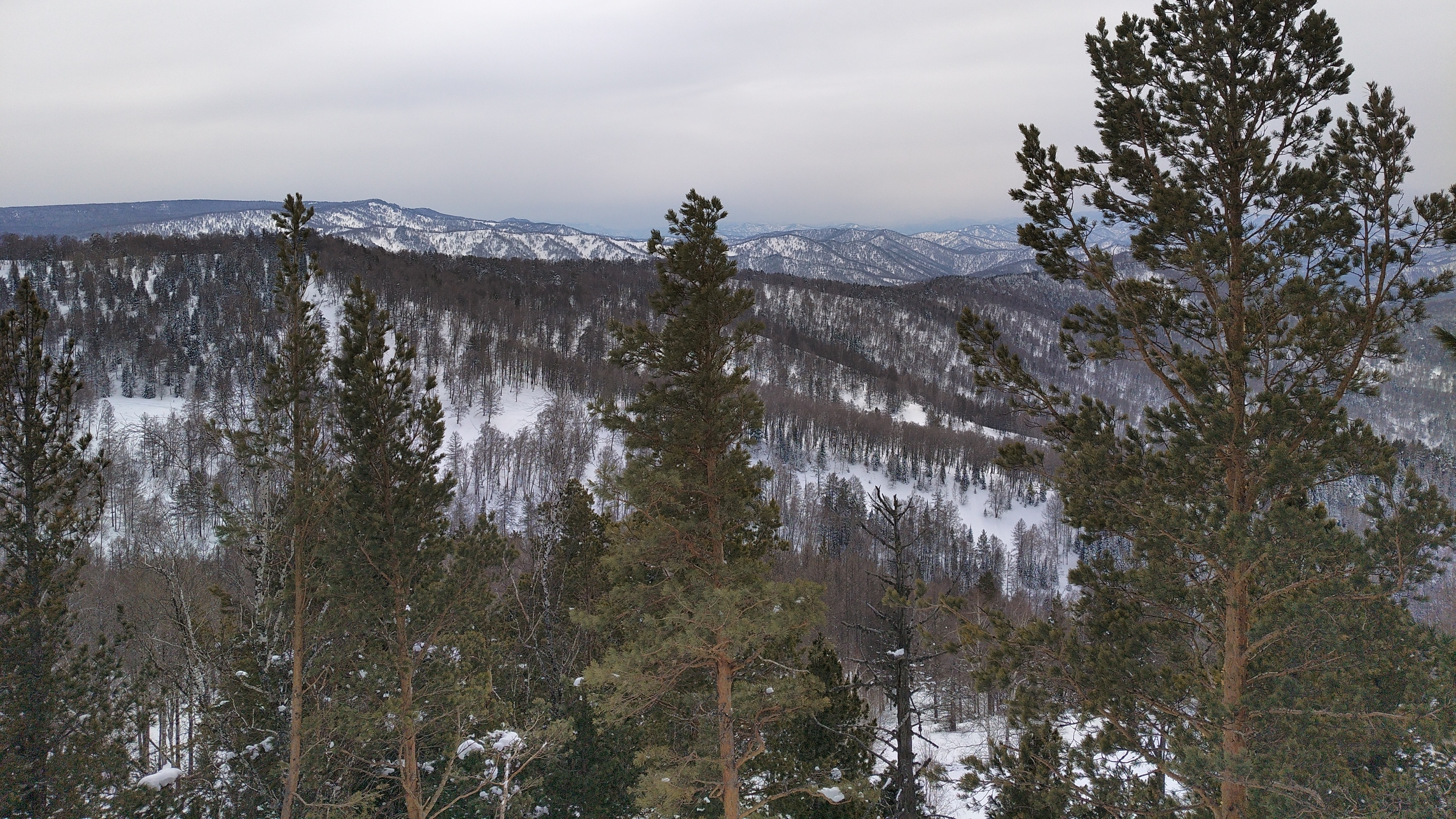 завораживает