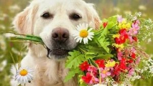 Праздники.Эгрегоры налог на счастье.