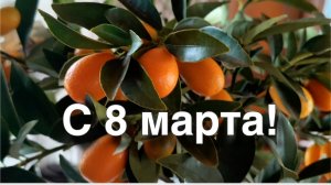 Домашний влог. Сестра Лёлика. Денис влюбился.