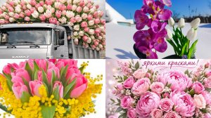 Снег убрали ,праздник отметили,перец посадила.