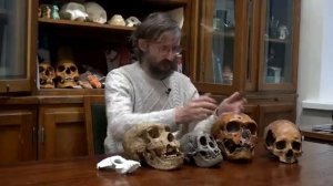 Раньше было лучше? Дробышевский