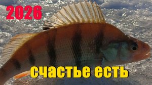 Зимняя рыбалка, подведение итогов